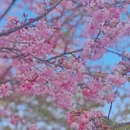 漳州旅游 缩略图 5