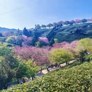 漳州旅游 缩略图 6