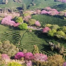 漳州旅游 缩略图 2