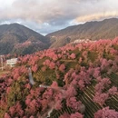 普洱旅游 缩略图 3
