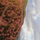 普洱旅游 缩略图 2