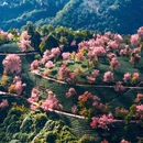 大理州旅游 缩略图 6