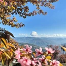大理州旅游 缩略图 2