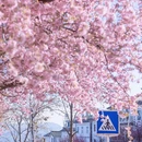 大理州旅游 缩略图 4