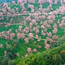 大理州旅游 缩略图 6