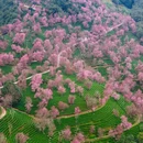大理州旅游 缩略图 1