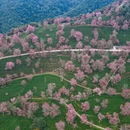 大理州旅游 缩略图 11