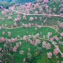 大理州旅游 缩略图 10