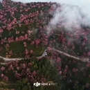 大理州旅游 缩略图 3
