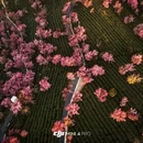 大理州旅游 缩略图 2