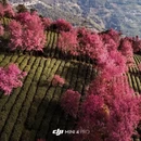 大理州旅游 缩略图 7