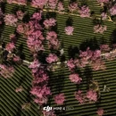 大理州旅游 缩略图 8