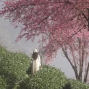 大理州旅游 缩略图 1