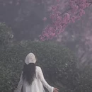 大理州旅游 缩略图 4