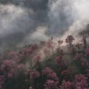 大理州旅游 缩略图 11