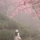 大理州旅游 缩略图 7