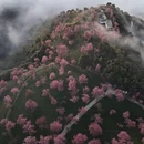 大理州旅游 缩略图 10