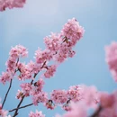 福州旅游 缩略图 4