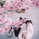 福州旅游 缩略图 7