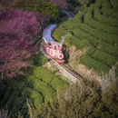福州旅游 缩略图 3