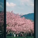 福州旅游 缩略图 2