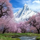 林芝旅游 缩略图 2