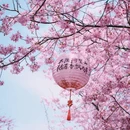 福州旅游 缩略图 3