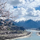 林芝旅游 缩略图 7