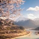 林芝旅游 缩略图 8