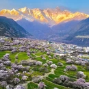 林芝旅游 缩略图 12