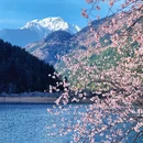 林芝旅游 缩略图 4