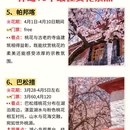 林芝旅游 缩略图 5
