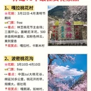 林芝旅游 缩略图 3