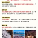 林芝旅游 缩略图 9