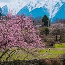 林芝旅游 缩略图 6