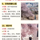 林芝旅游 缩略图 7