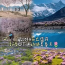 林芝旅游 缩略图 1