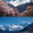 林芝旅游 缩略图 3