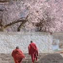 林芝旅游 缩略图 3