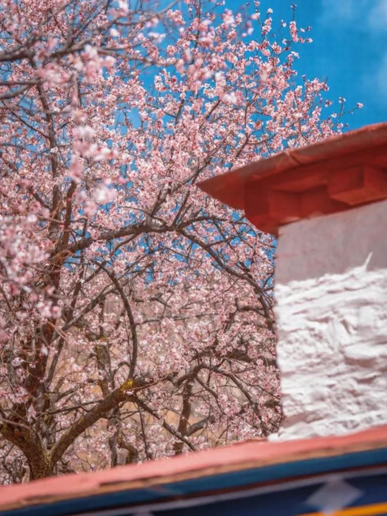 林芝旅游