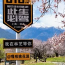 林芝旅游 缩略图 2