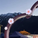 林芝旅游 缩略图 4