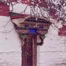 林芝旅游 缩略图 7
