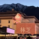 林芝旅游 缩略图 1