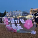 林芝旅游 缩略图 2