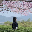 杭州旅游 缩略图 3