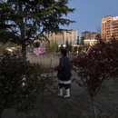 林芝旅游 缩略图 6