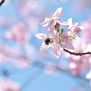 杭州旅游 缩略图 7
