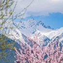 林芝旅游 缩略图 9