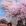 林芝